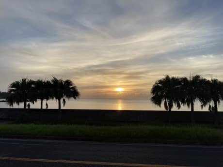 夏季休業のお知らせ | お知らせ