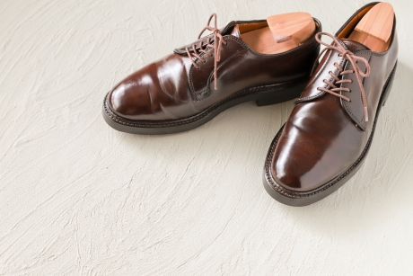 白いテクスチャのある背景の上に置かれた、シューツリーが装着された光沢のあるダークブラウンの本革製プレーントゥシューズ。